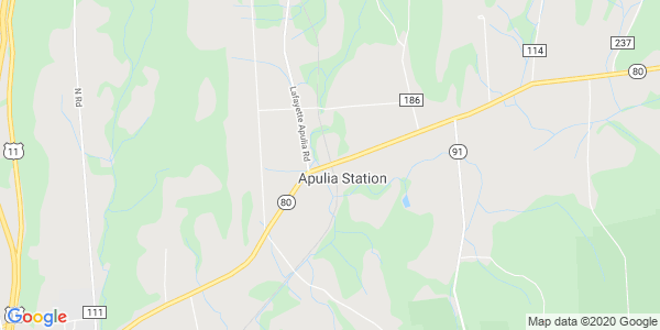 Junk my car in Apulia Station