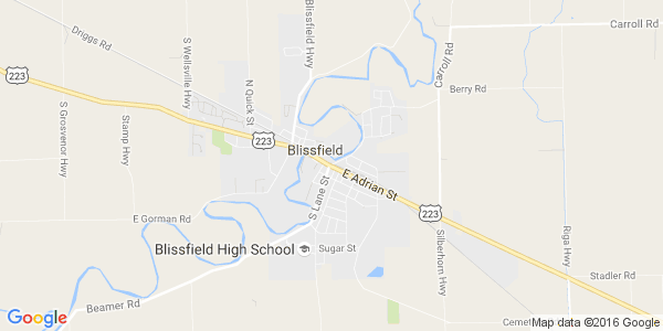 Junk my car in Blissfield