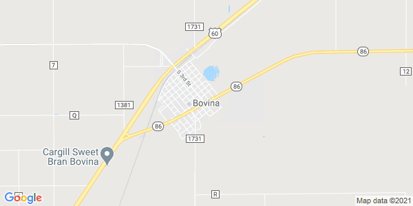 Junk my car in Bovina