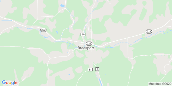 Junk my car in Breesport