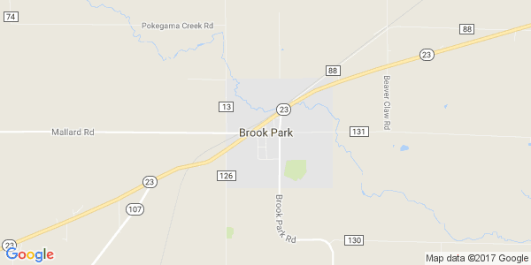 Junk my car in Brook Park