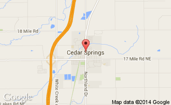 Junk my car in Cedar Springs