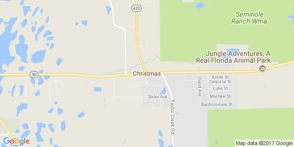 Junk my car in Christmas