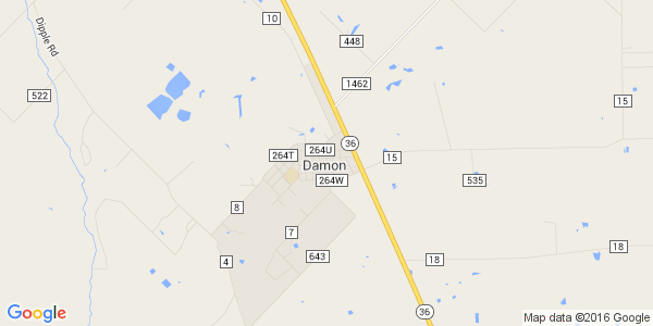 Junk my car in Damon