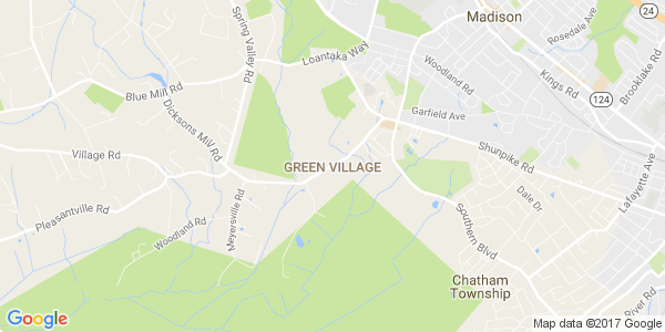 Junk my car in Green Village