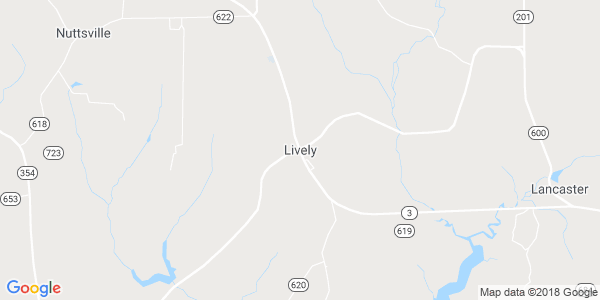 Junk my car in Lively