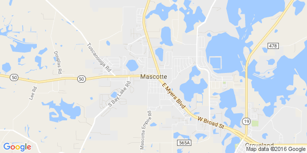 Junk my car in Mascotte