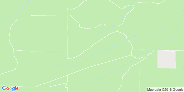 Junk my car in Mikado