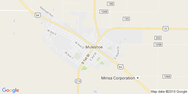 Junk my car in Muleshoe