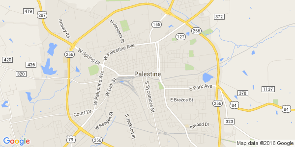 Junk my car in Palestine