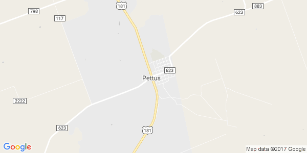 Junk my car in Pettus