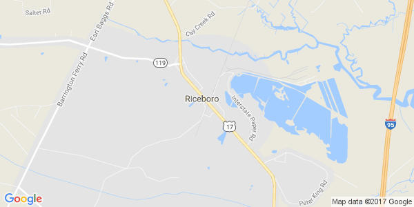 Junk my car in Riceboro