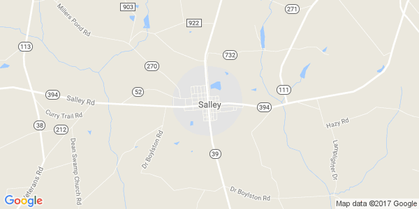 Junk my car in Salley