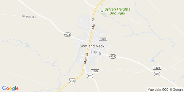 Junk my car in Scotland Neck