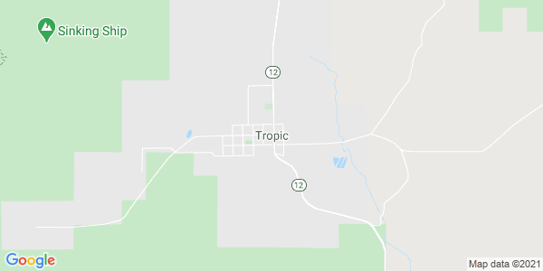 Junk my car in Tropic