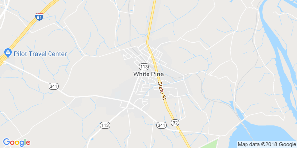 Junk my car in White Pine