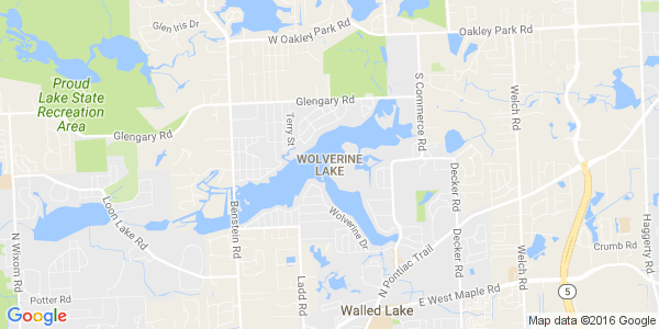 Junk my car in Wolverine Lake